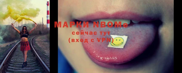 индика Белокуриха