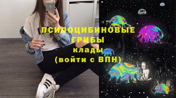 индика Белокуриха