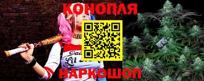 гидропоника Бердск