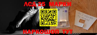 гидропоника Бердск