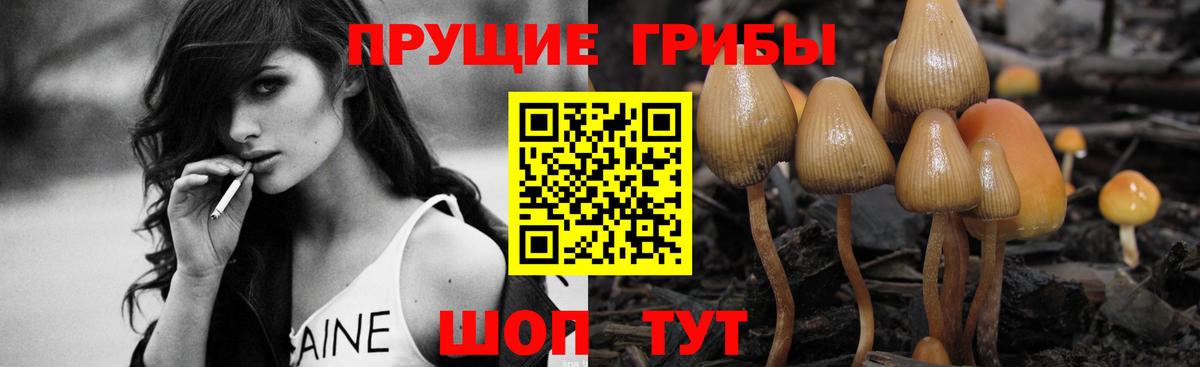 Белогорск  Галлюциногенные грибы GOLDEN TEACHER  Вход с VPN  Галлюциногенные грибы MAGIC MUSHROOMS 